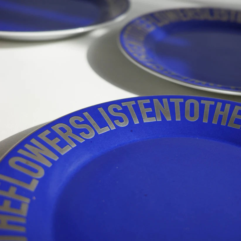 The Blue & Chrome Plate