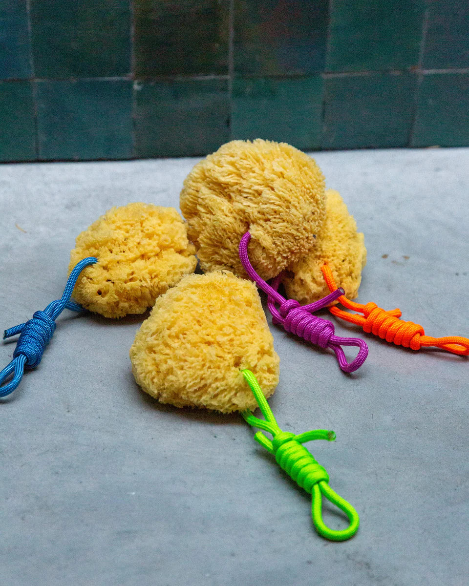 Natural Sea Sponge / Green